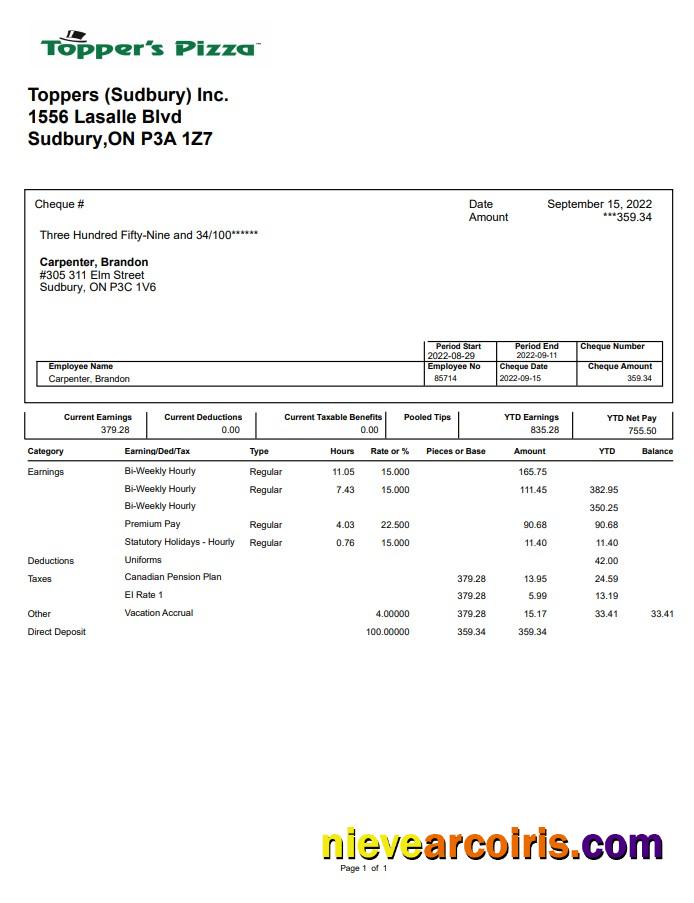 Topper's Pizza pay stub